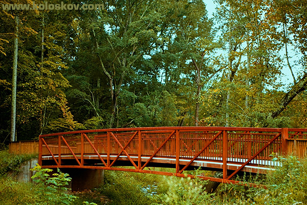 RAW developing Landscape with bridge