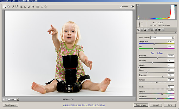 Adobe Camera Raw screen shot