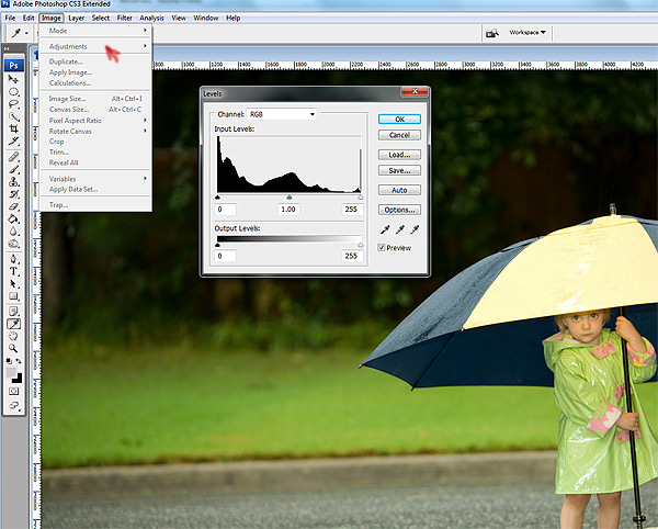 Level adjustments in Photoshop