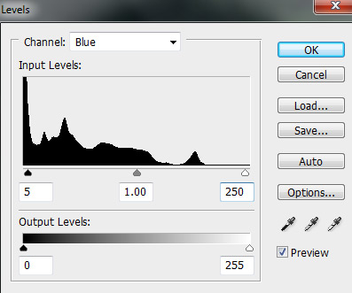 Input levels blue channel Photoshop