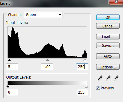 Input levels green channel i Photoshop