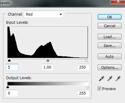 Input levels red channel in Photoshop