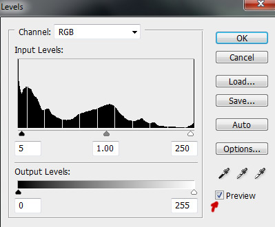 Input levels rgb channel Photoshop