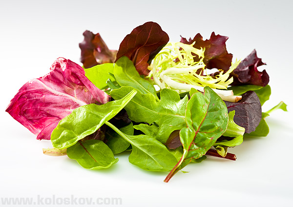 image-with-overexposed-areas image-with-overexposed-areas