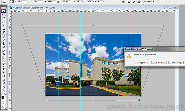 Using Free Transform tool in Photoshop
