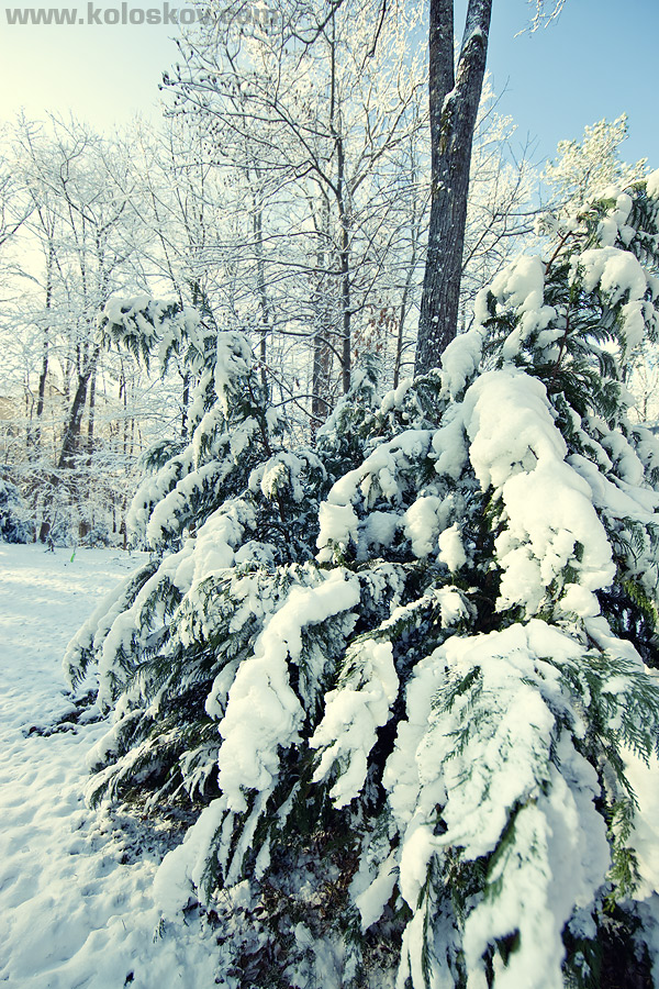 Snow in Atlanta, GA