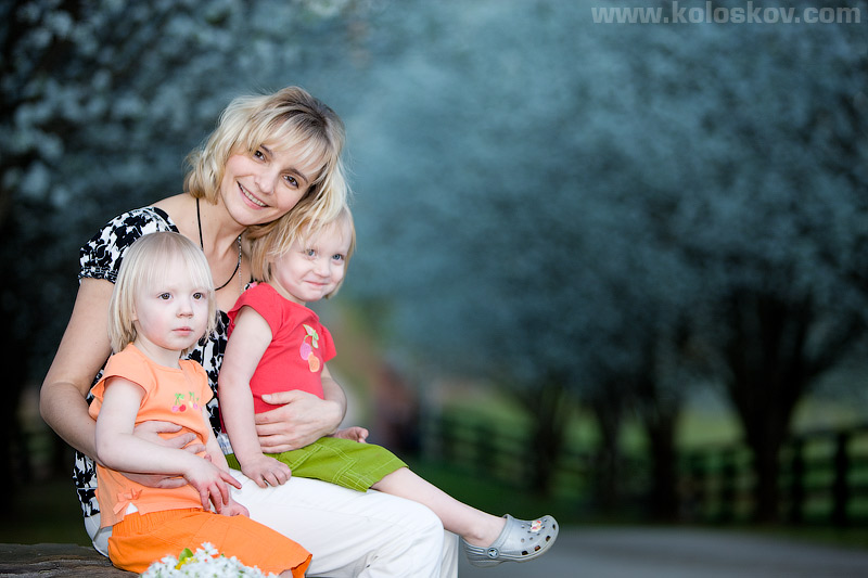 family-portrait-photographer Family portrait photographer