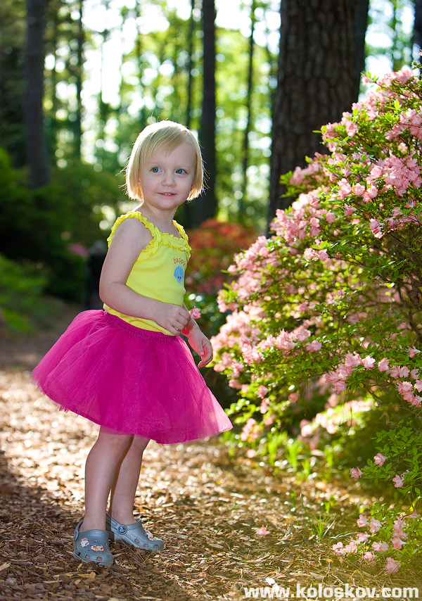 kids-portrait-atlanta-photographer Kids portrait atlanta photographer
