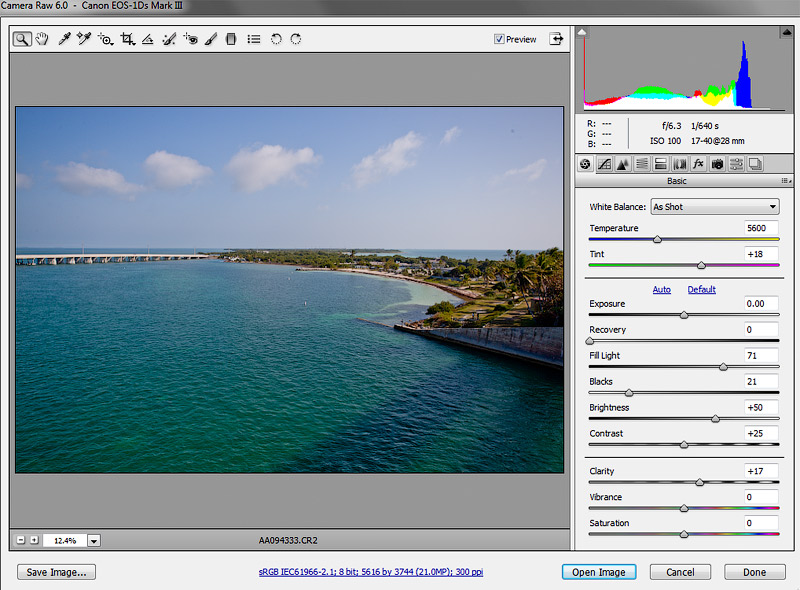 raw-converter-basic