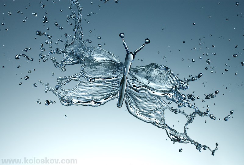 bufferfly-splash-liquid-photography-alex-koloskov Water splash butterfly